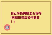 自己采摘黄精怎么保存(黄精采摘后如何储存？)
