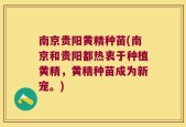 南京贵阳黄精种苗(南京和贵阳都热衷于种植黄精，黄精种苗成为新宠。)