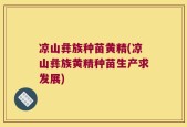 凉山彝族种苗黄精(凉山彝族黄精种苗生产求发展)