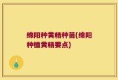 绵阳种黄精种苗(绵阳种植黄精要点)