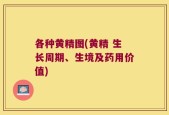 各种黄精图(黄精 生长周期、生境及药用价值)