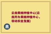 云南黄精种植中心(云南开办黄精种植中心，带动农业发展)