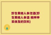 野生黄精人参泡酒(野生黄精人参酒 精神神采焕发的饮料)