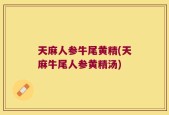 天麻人参牛尾黄精(天麻牛尾人参黄精汤)