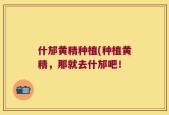 什邡黄精种植(种植黄精，那就去什邡吧！