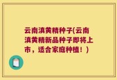 云南滇黄精种子(云南滇黄精新品种子即将上市，适合家庭种植！)