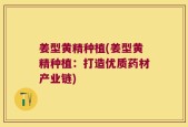 姜型黄精种植(姜型黄精种植：打造优质药材产业链)