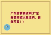 广东鲜黄精收购(广东鲜黄精被大量收购，新鲜可靠！)