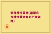 湄潭种植黄精(湄潭农民种植黄精开启产业新路)