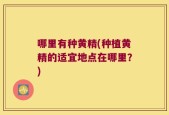 哪里有种黄精(种植黄精的适宜地点在哪里？)
