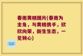春雨黄精图片(春雨为主角，与黄精携手，欣欣向荣，新生生态，一见倾心)