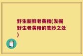 野生新鲜老黄精(发掘野生老黄精的美妙之处)