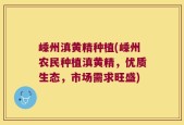 嵊州滇黄精种植(嵊州农民种植滇黄精，优质生态，市场需求旺盛)