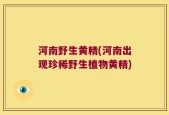 河南野生黄精(河南出现珍稀野生植物黄精)