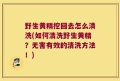 野生黄精挖回去怎么清洗(如何清洗野生黄精？无害有效的清洗方法！)