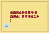 云南保山种植黄精(云南保山：黄精种植之乡)