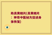 助高黄精片(高黄精片：神奇中医秘方促进身体恢复)