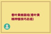 卷叶黄精栽培(卷叶黄精种植技巧总结)