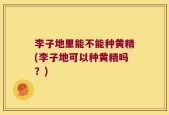 李子地里能不能种黄精(李子地可以种黄精吗？)
