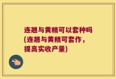 连翘与黄精可以套种吗(连翘与黄精可套作，提高实收产量)