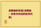 滇黄精的块茎(滇黄精：珍贵中药材的优秀代表)