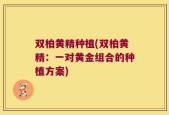 双柏黄精种植(双柏黄精：一对黄金组合的种植方案)
