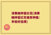 滇黄精种苗红花(滇黄精种苗红花推荐种植：丰收好选择)