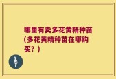 哪里有卖多花黄精种苗(多花黄精种苗在哪购买？)