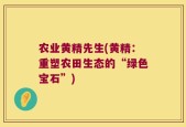 农业黄精先生(黄精：重塑农田生态的“绿色宝石”)