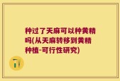 种过了天麻可以种黄精吗(从天麻转移到黄精种植-可行性研究)