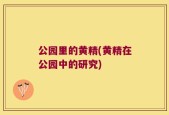 公园里的黄精(黄精在公园中的研究)