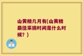 山黄精几月有(山黄精最佳采摘时间是什么时候？)