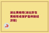 湖北黄精哥(湖北野生黄精哥成保护盈利新经济链)