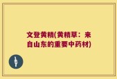 文登黄精(黄精草：来自山东的重要中药材)