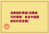 滇黄精黔黄精(滇黄精与黔黄精：来自中国西南的药用宝藏)