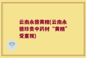 云南永德黄精(云南永德珍贵中药材“黄精”受重视)