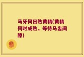 马牙何日熟黄精(黄精何时成熟，等待马齿间隙)
