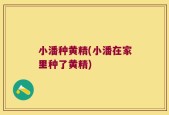 小潘种黄精(小潘在家里种了黄精)