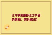 辽宁黄精图片(辽宁省的黄精：照片展示)