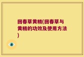 回春草黄精(回春草与黄精的功效及使用方法)