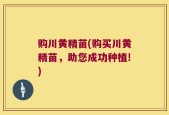 购川黄精苗(购买川黄精苗，助您成功种植!)