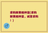 求购鲜黄精种苗(求购鲜黄精种苗，诚意求购！)
