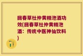 回春草杜仲黄精泡酒功效(回春草杜仲黄精泡酒：传统中医神仙饮料)