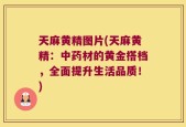 天麻黄精图片(天麻黄精：中药材的黄金搭档，全面提升生活品质！)