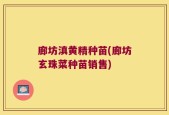 廊坊滇黄精种苗(廊坊玄珠菜种苗销售)