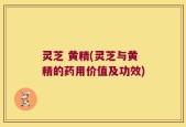 灵芝 黄精(灵芝与黄精的药用价值及功效)