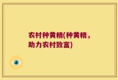 农村种黄精(种黄精，助力农村致富)