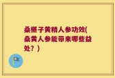 桑椹子黄精人参功效(桑黄人参能带来哪些益处？)