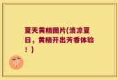 夏天黄精图片(清凉夏日，黄精开出芳香体验！)