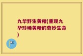 九华野生黄精(重现九华珍稀黄精的奇妙生命)